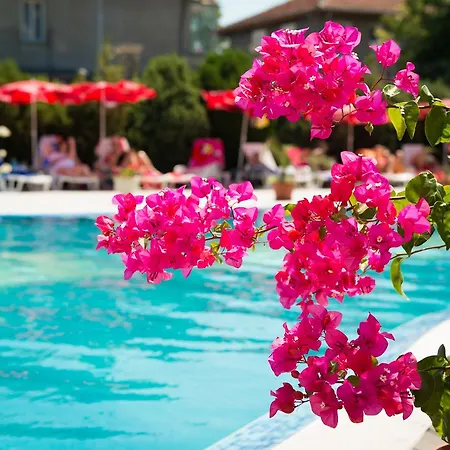 The Castle Hotel Țarevo